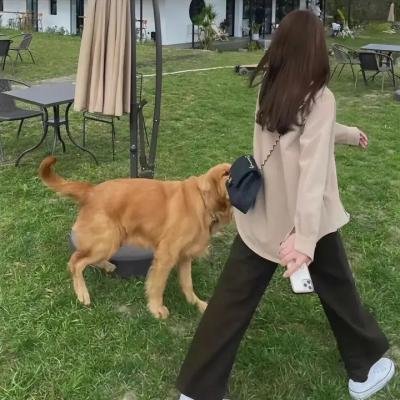 倩女仙缘2